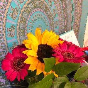 Meet your Posher, Ariana